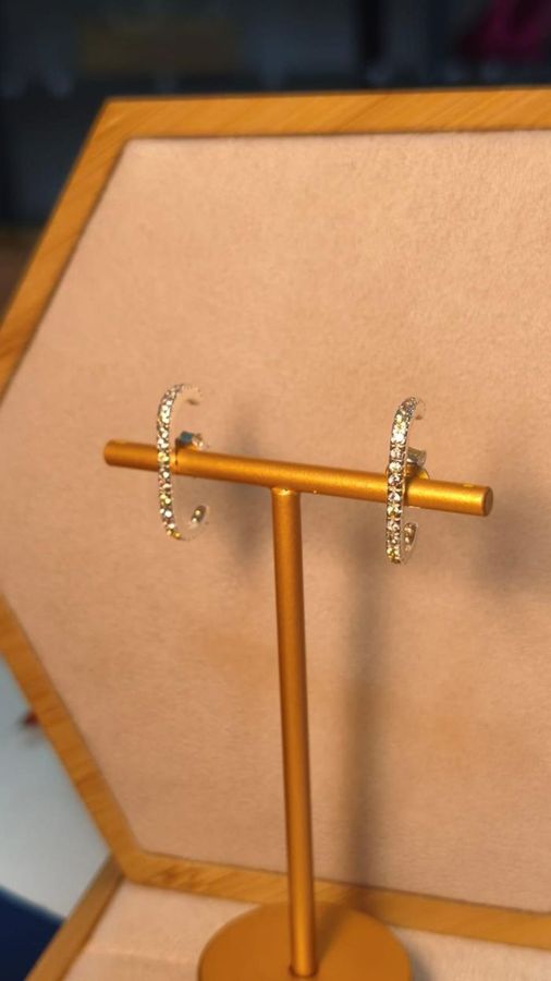 Brinco Ear Hook Cravejado Colors Prata